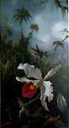 Martin Johnson Heade Two Hummingbirds Spain oil painting art